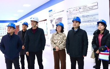 陽(yáng)光電源股份、宜賓智能制造行業(yè)協(xié)會(huì)、宜賓安徽商會(huì)調(diào)研遠(yuǎn)東電纜（宜賓）